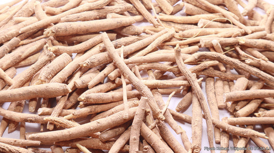 Ashwagandha: A Super Herb with Super Benefits