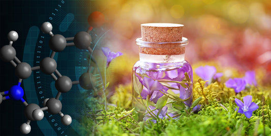 Berberine and the Ayurvedic Alternatives