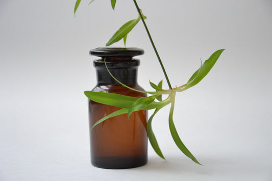 Ayurvedic Alternatives to Ferulic Acid
