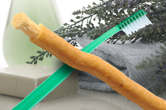 What is Miswak Toothstick and How is it Used?