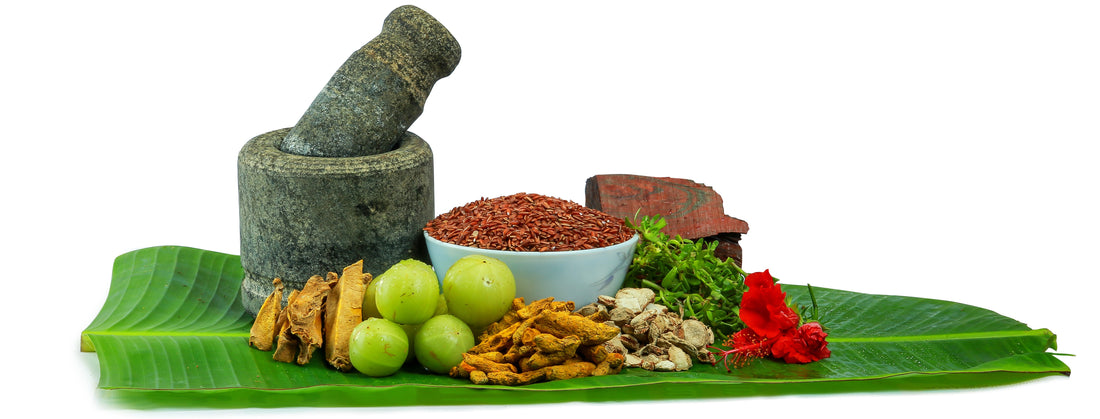 Why Ayurveda is Best for Your Total Body Health