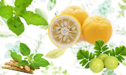 Yuzu Fruit Alternatives: Exploring the Benefits of 6 Ayurvedic Herbs